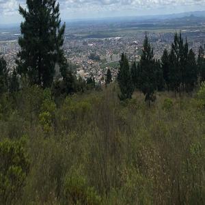 白浆做爱女人视频
